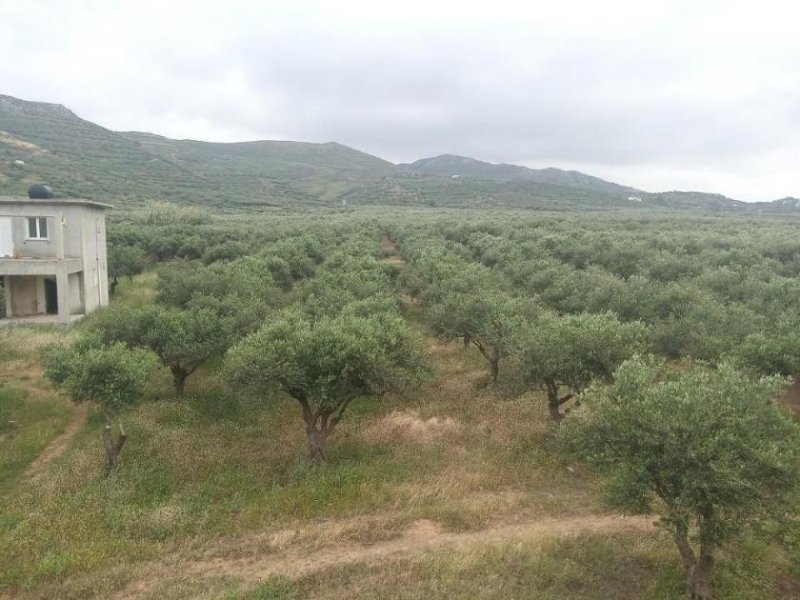 Trachilos Kreta, Trachilos: Investitionsprojekt - 3 Rohbau-Villen zu verkaufen Haus kaufen